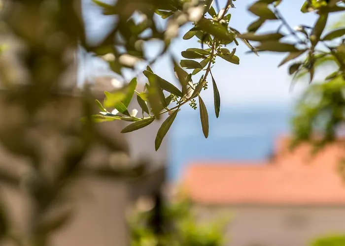 Apartment Baska Voda 301A